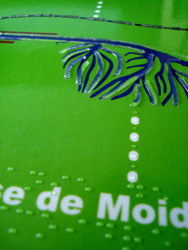 Détail de la planche tactile